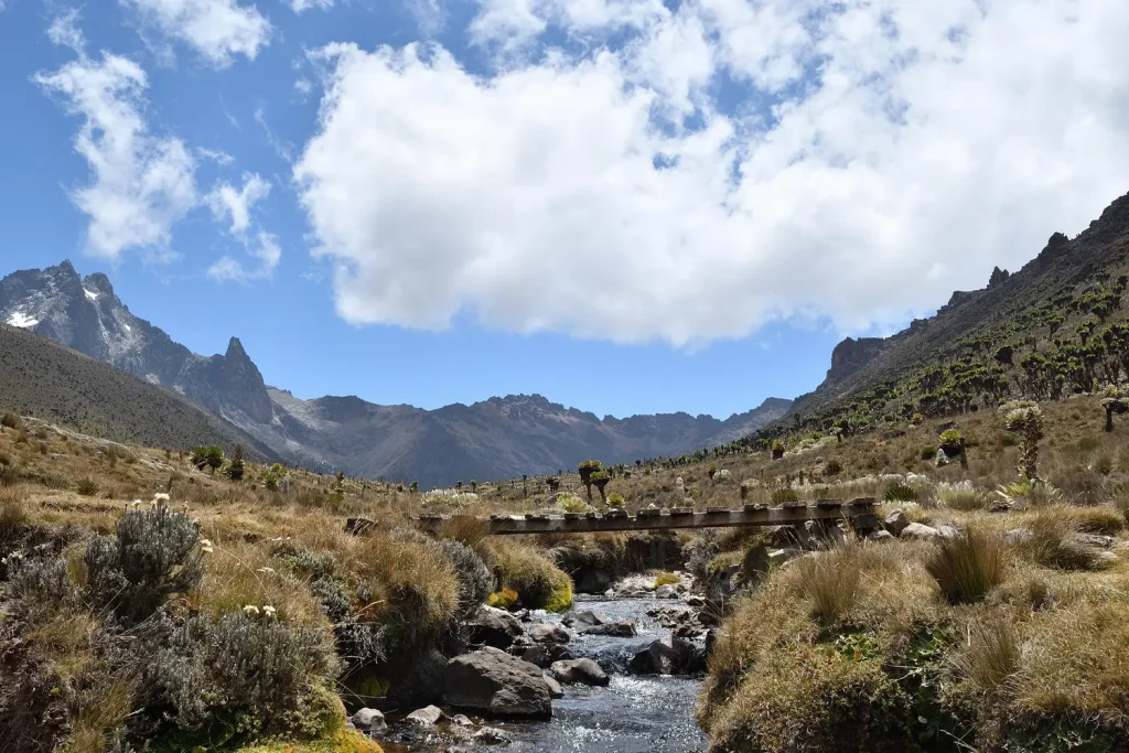 Mount Kenya Climbing with Geoffreys Travels