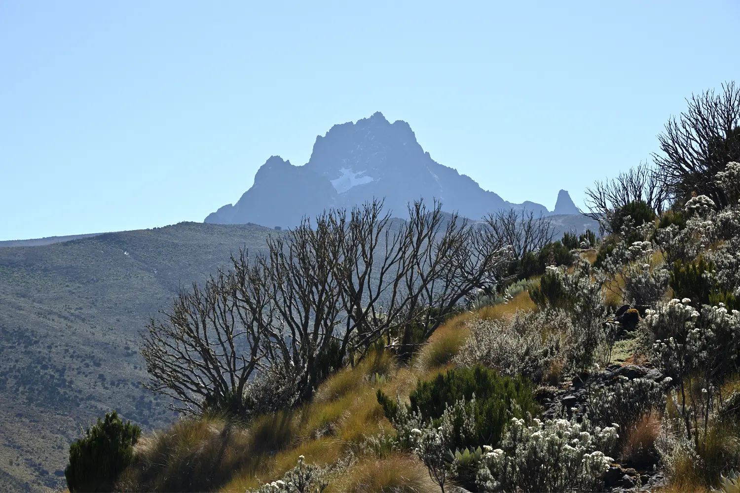 Mount Kenya Climbing with Geoffreys Travels