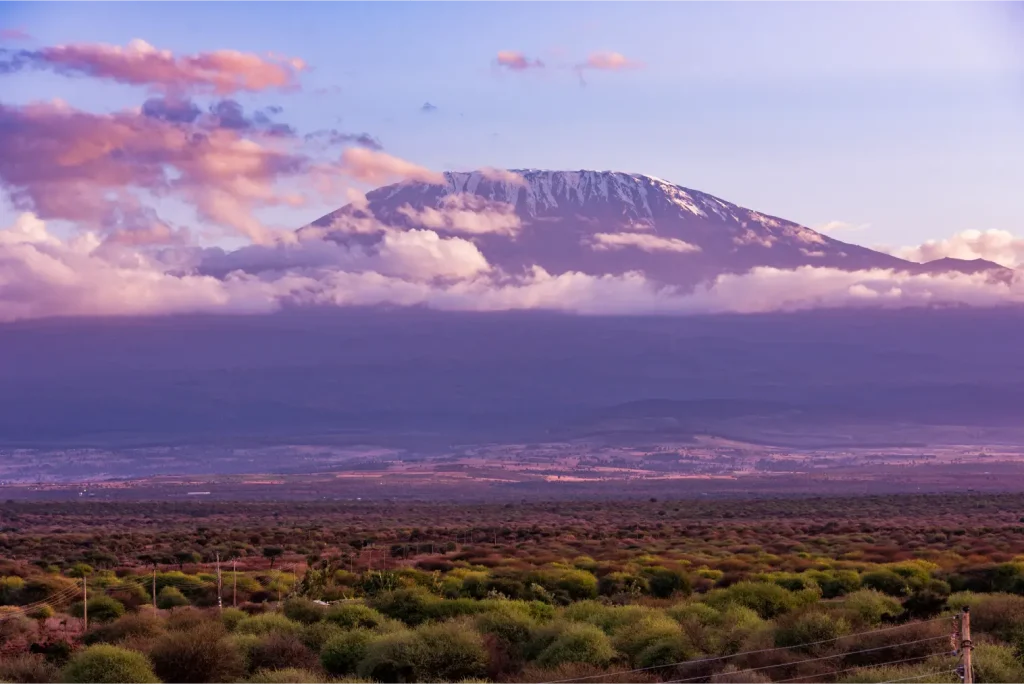 Amboseli, Tsavo West and East safari - Geoffreys Travels